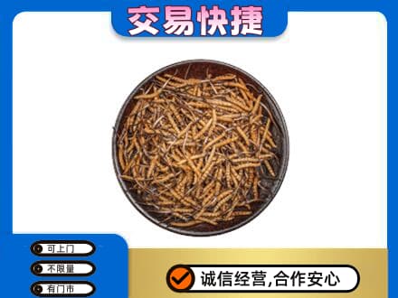 锡林郭勒东乌珠穆沁礼品回收虫草.jpg